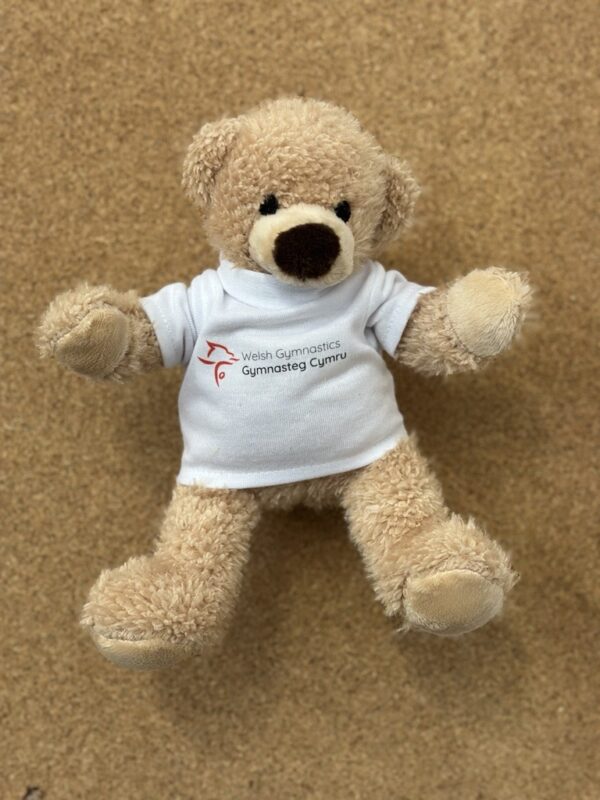 Welsh Gymnastics Teddy bear with a brown background